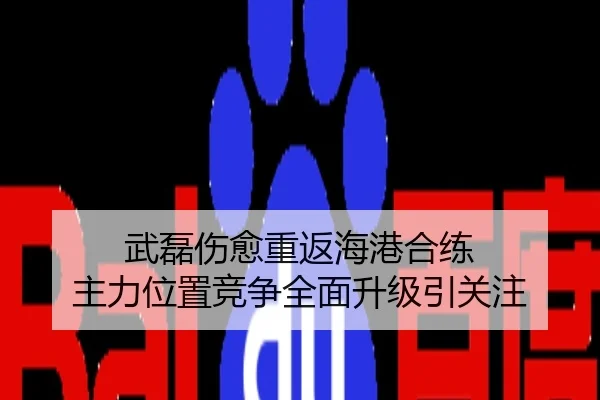 武磊伤愈重返海港合练 主力位置竞争全面升级引关注